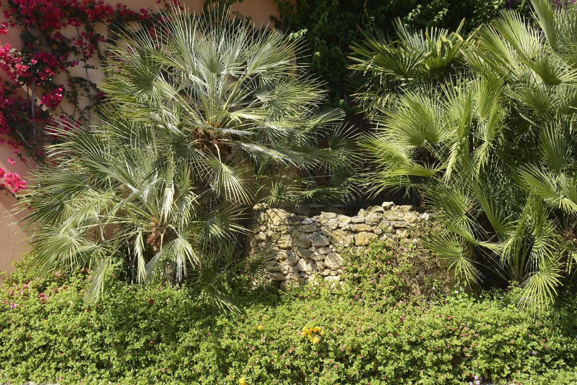 Hotel Oasis Alghero Luaran gambar